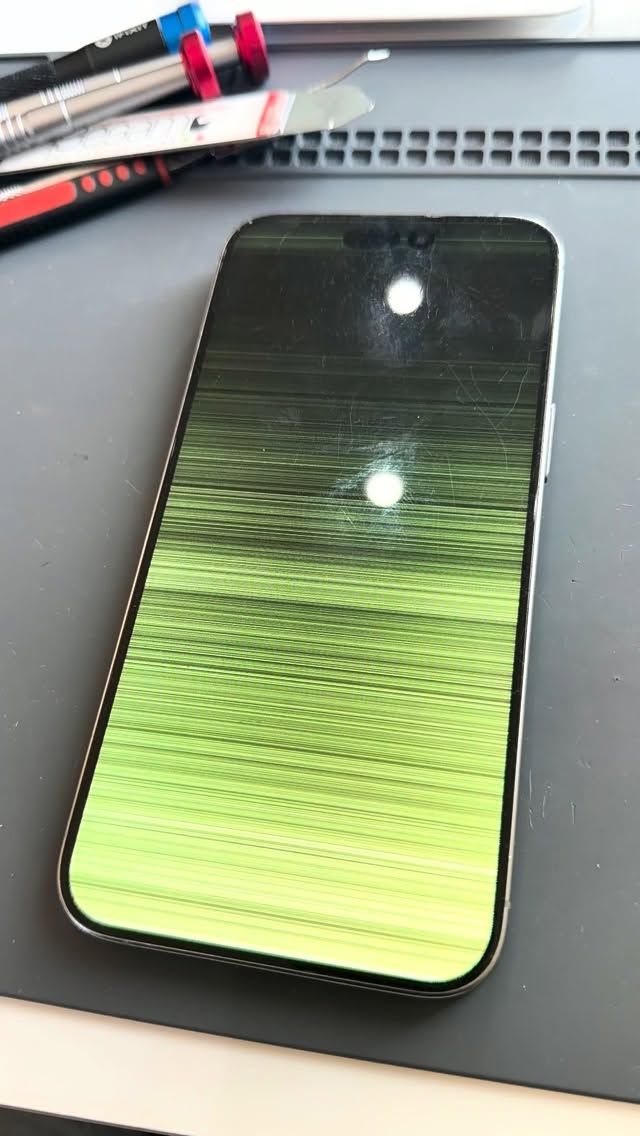 790755142 2155792264998720 658352453801217743 n